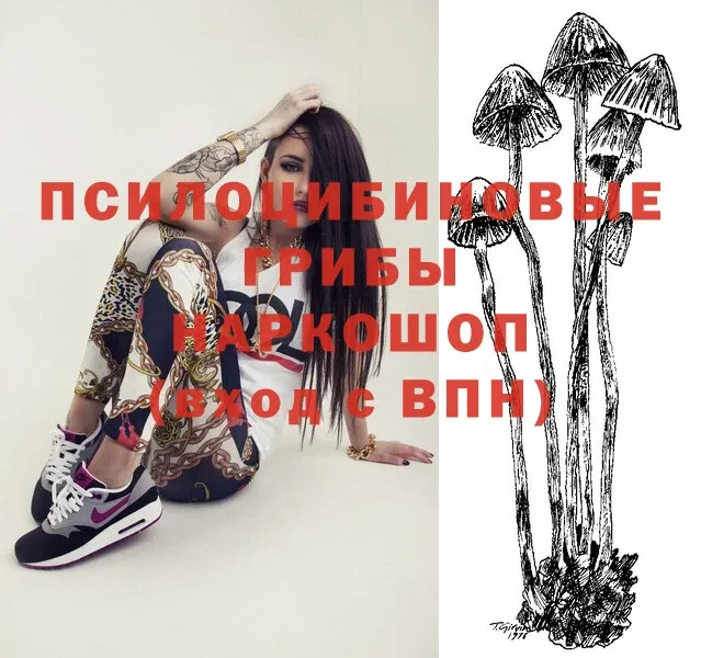 кракен   Агидель  Псилоцибиновые грибы Magic Shrooms 